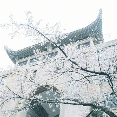 2024年上海党校系统经济学年会举办